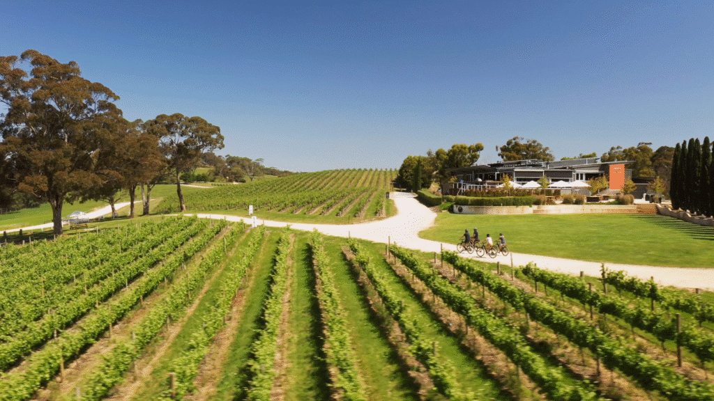 Lane Vineyard