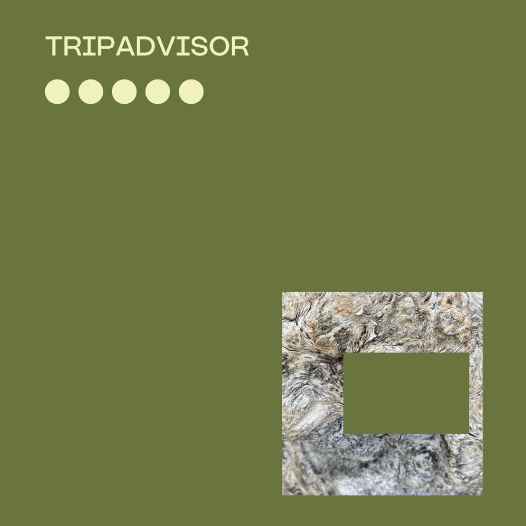 Trip Advisor CABN Review