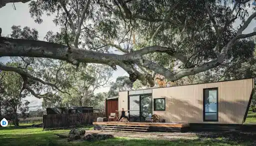 the exterior view of cabn x in mcLaren vale