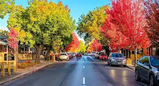 colourful street of hahndorf in autumn