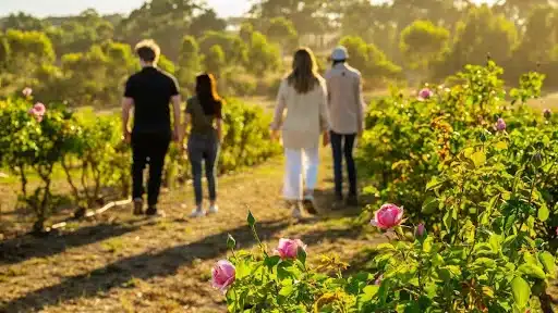 romantic escape in adelaide