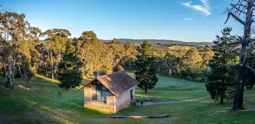 the cedars autumn in hahndorf