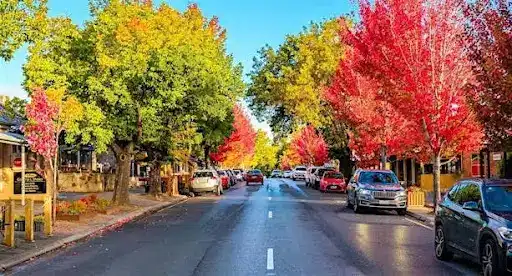 autumn romantic getaway adelaide hills